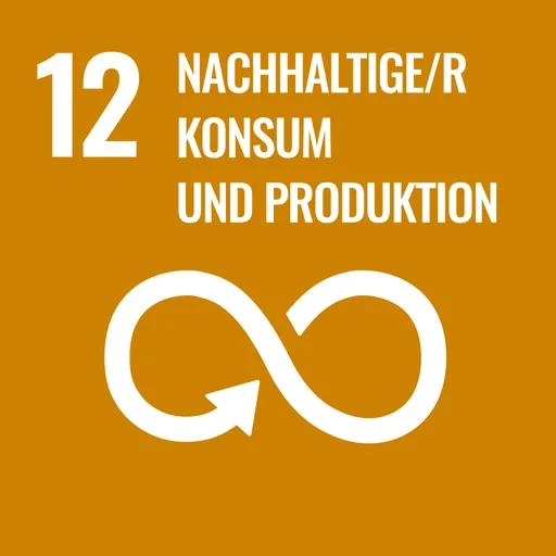 SDG 12 – Nachhaltiger Konsum & Produktion